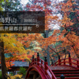 今高野山　2020.11