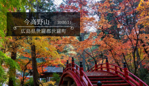 今高野山　2020.11