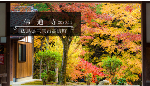 佛通寺の紅葉　2020.11